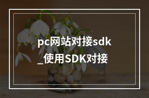 pc网站对接sdk_使用SDK对接