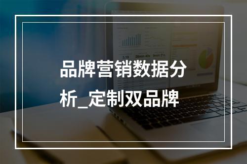 品牌营销数据分析_定制双品牌