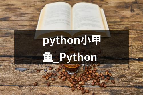 python小甲鱼_Python