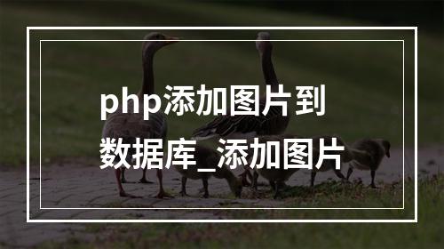 php添加图片到数据库_添加图片