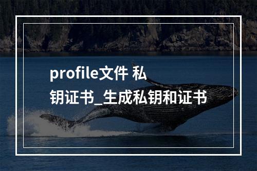 profile文件 私钥证书_生成私钥和证书