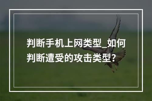 判断手机上网类型_如何判断遭受的攻击类型?