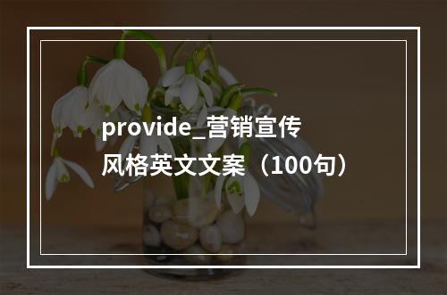 provide_营销宣传风格英文文案(100句)