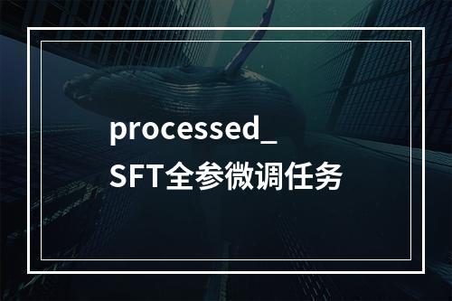 processed_SFT全参微调任务