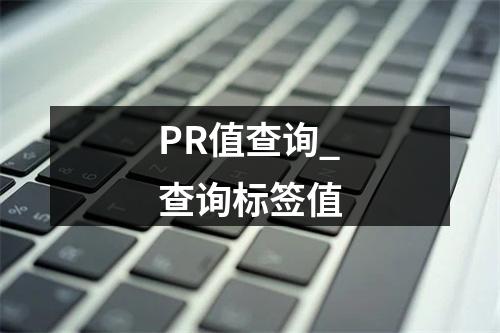 PR值查询_查询标签值