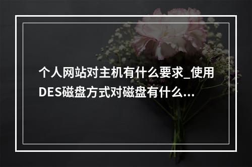 个人网站对主机有什么要求_使用DES磁盘方式对磁盘有什么要求?