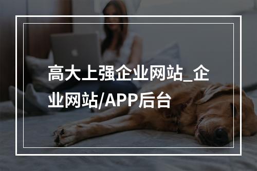 高大上强企业网站_企业网站/APP后台