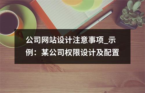 公司网站设计注意事项_示例:某公司权限设计及配置