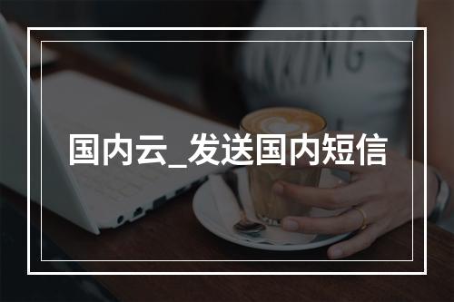 国内云_发送国内短信