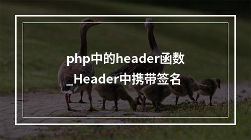 php中的header函数_Header中携带签名