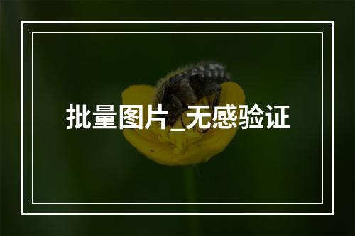 批量图片_无感验证