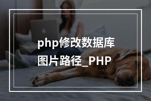 php修改数据库图片路径_PHP