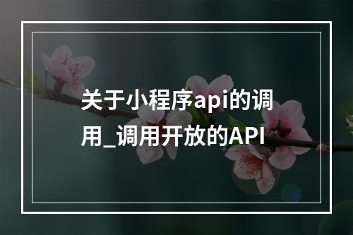 关于小程序api的调用_调用开放的API