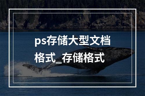 ps存储大型文档格式_存储格式