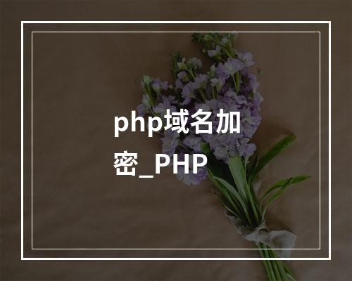 php域名加密_PHP