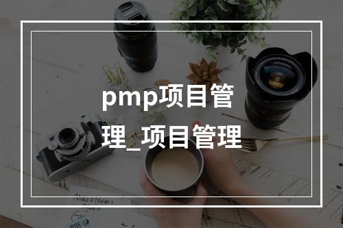 pmp项目管理_项目管理