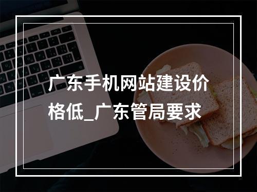 广东手机网站建设价格低_广东管局要求