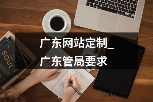 广东网站定制_广东管局要求