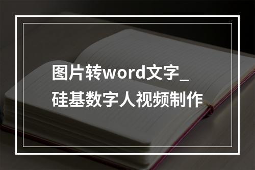 图片转word文字_硅基数字人视频制作