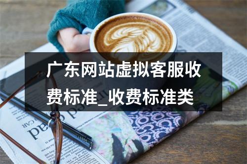 广东网站虚拟客服收费标准_收费标准类