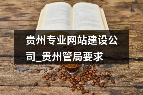 贵州专业网站建设公司_贵州管局要求