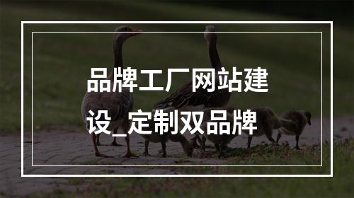 品牌工厂网站建设_定制双品牌