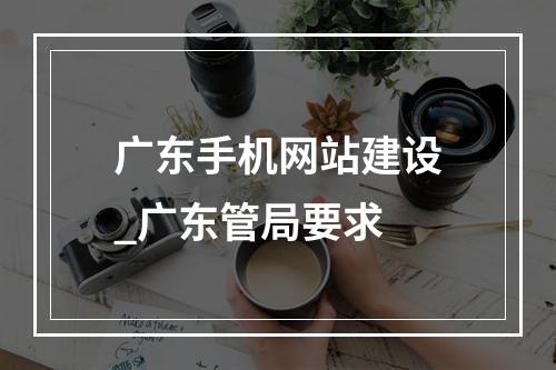 广东手机网站建设_广东管局要求