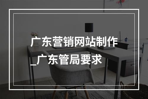 广东营销网站制作_广东管局要求