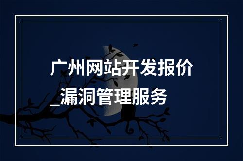 广州网站开发报价_漏洞管理服务