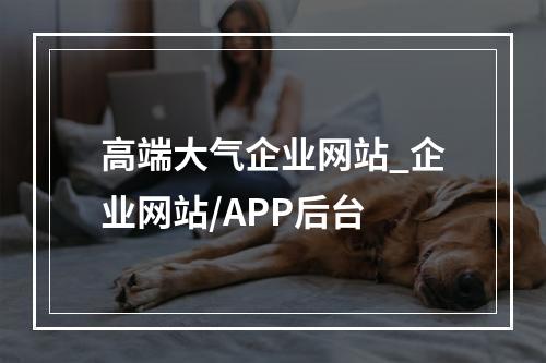 高端大气企业网站_企业网站/APP后台