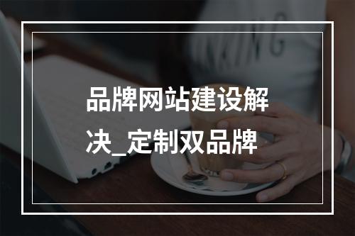 品牌网站建设解决_定制双品牌