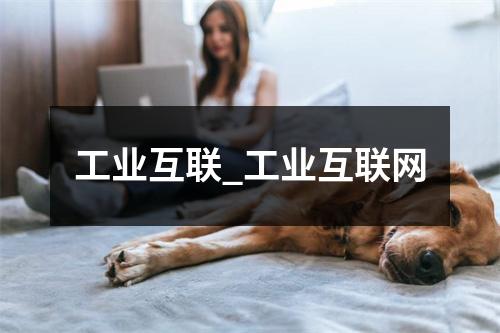 工业互联_工业互联网