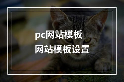 pc网站模板_网站模板设置
