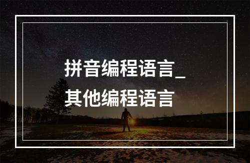 拼音编程语言_其他编程语言