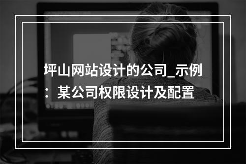 坪山网站设计的公司_示例:某公司权限设计及配置