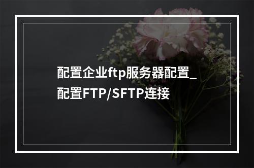 配置企业ftp服务器配置_配置FTP/SFTP连接