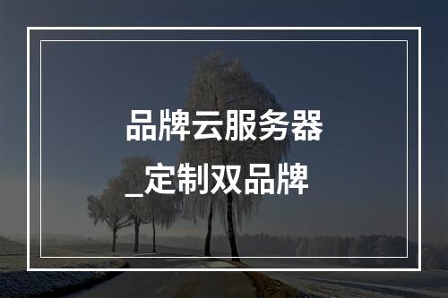 品牌云服务器_定制双品牌