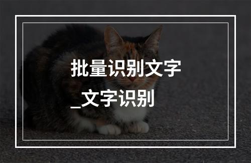批量识别文字_文字识别