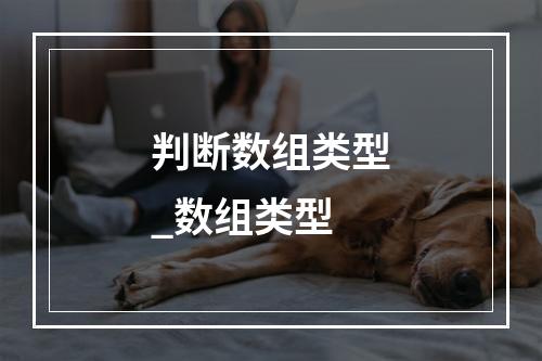 判断数组类型_数组类型