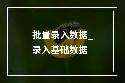 批量录入数据_录入基础数据