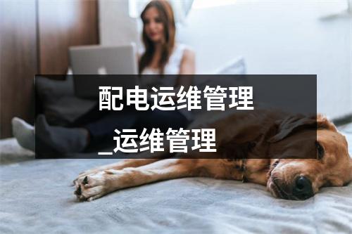 配电运维管理_运维管理