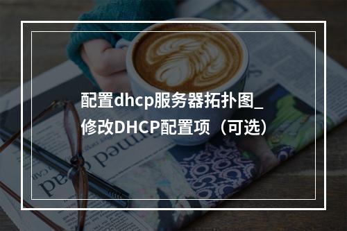 配置dhcp服务器拓扑图_修改DHCP配置项(可选)