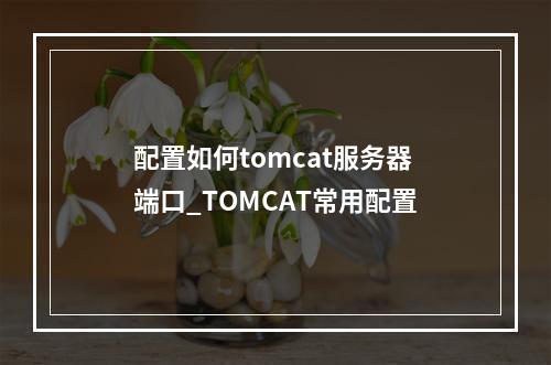 配置如何tomcat服务器端口_TOMCAT常用配置