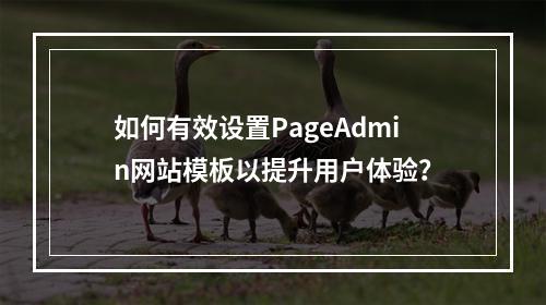 如何有效设置PageAdmin网站模板以提升用户体验?