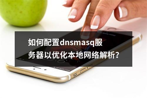 如何配置dnsmasq服务器以优化本地网络解析?