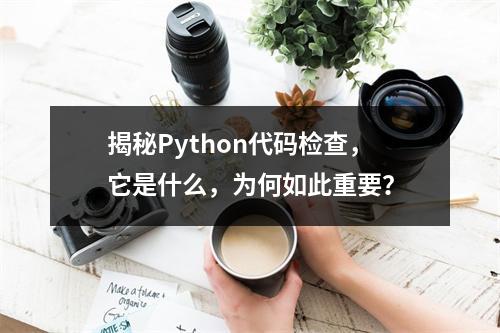 揭秘Python代码检查,它是什么,为何如此重要?