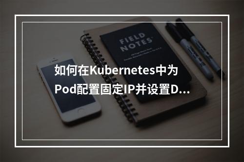 如何在Kubernetes中为Pod配置固定IP并设置DNS服务器?