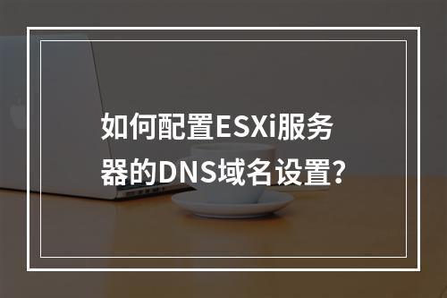 如何配置ESXi服务器的DNS域名设置?
