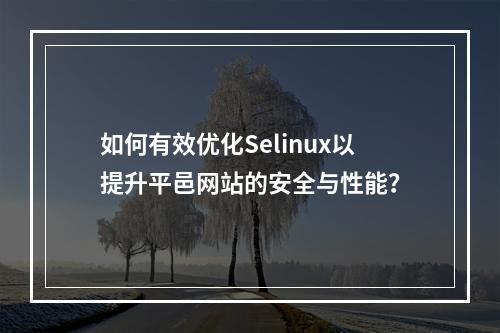 如何有效优化Selinux以提升平邑网站的安全与性能?