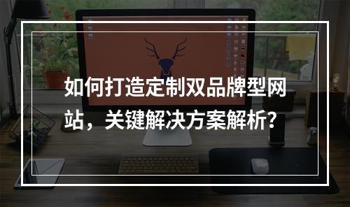 如何打造定制双品牌型网站,关键解决方案解析?
